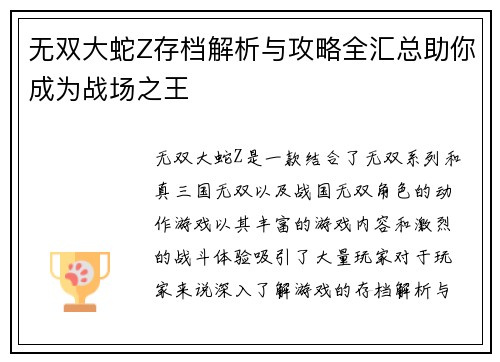 无双大蛇Z存档解析与攻略全汇总助你成为战场之王